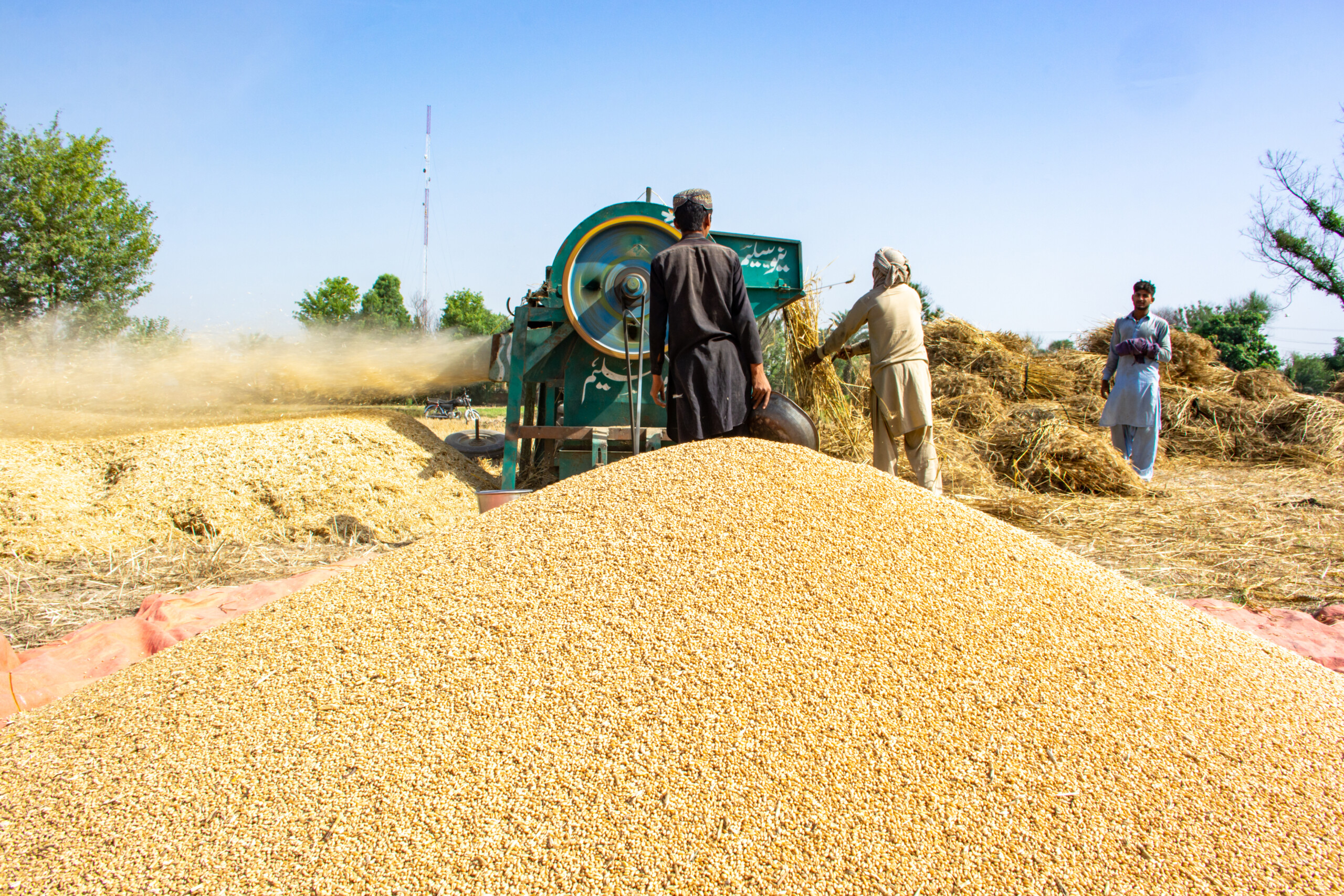 pakitsani-agricultuer-1